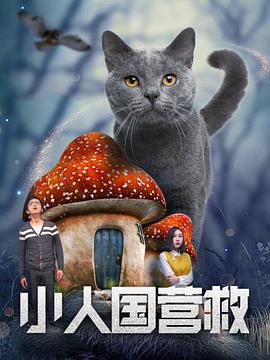 91探花福利精品国产自产在线