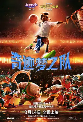 久久影院午夜片一区