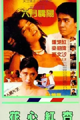 男生c女生软件