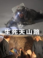 国产精品久久久久久久久鸭