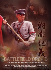 欧美精品免费在线
