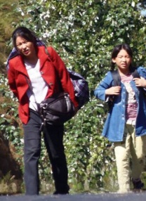 糖豆广场舞全部视频