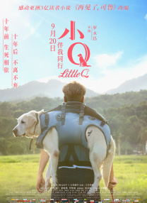 **bb视频