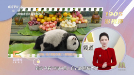 亚洲福利一区二区精品秒拍